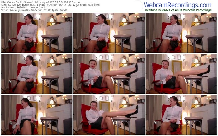 cams-nylonlegs-12-18-2023-00-25-00