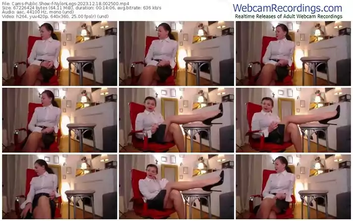 cams-nylonlegs-12-18-2023-00-25-00