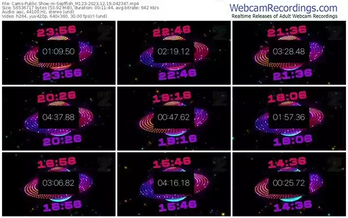 cams-sepffish_m123-12-19-2023-04-23-47