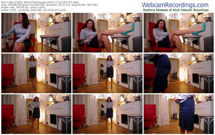 cams-nylonlegs-12-22-2023-23-57-15