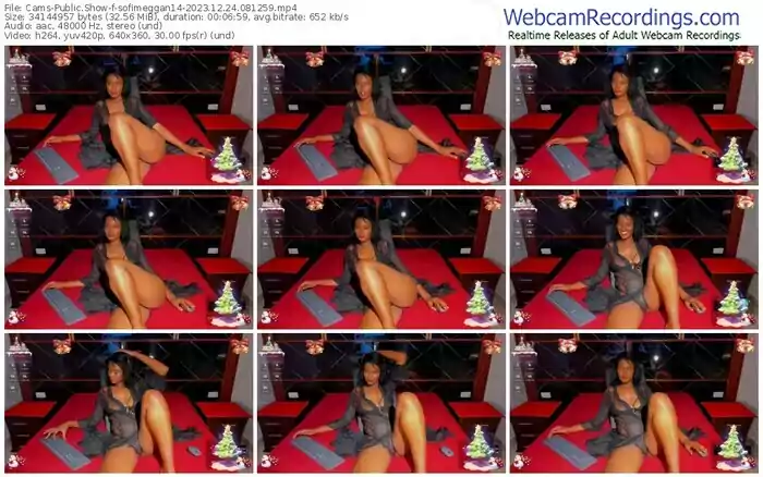 cams-sofimeggan14-12-24-2023-08-12-59