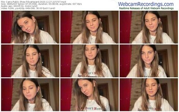 cams-evahazard-12-27-2023-21-57-07