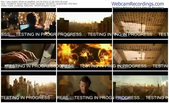 cams-sepffish_m123-12-28-2023-20-01-34