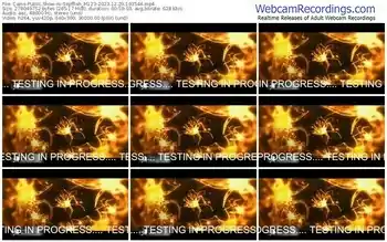 cams-sepffish_m123-12-29-2023-19-35-44