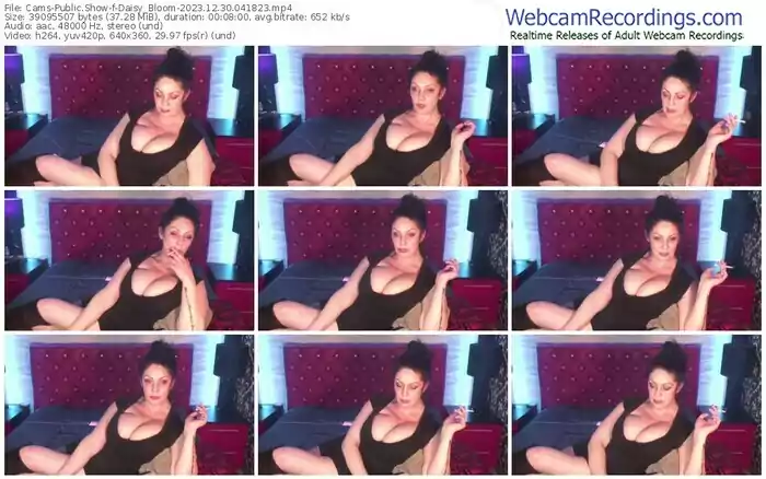 cams-daisy_bloom-12-30-2023-04-18-23