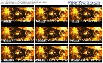 cams-sepffish_m123-12-30-2023-00-49-18