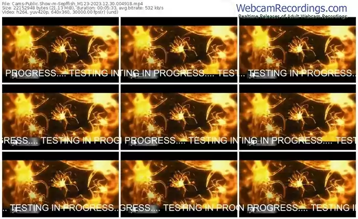 cams-sepffish_m123-12-30-2023-00-49-18
