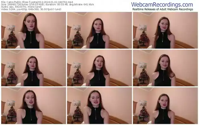 cams-vesta2012-01-02-2024-18-47-02