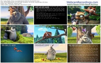 cams-modelcitizen-01-04-2024-22-10-36