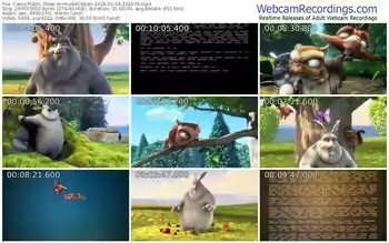 cams-modelcitizen-01-04-2024-22-10-36