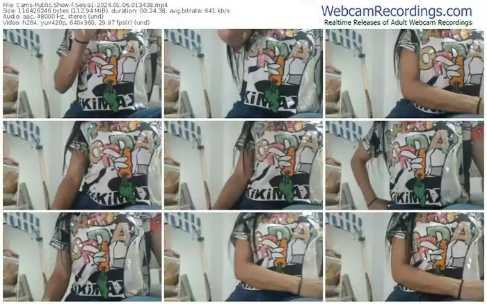 cams-seiya1-01-06-2024-01-34-38