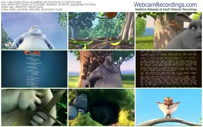 cams-sepffish_m123-01-11-2024-05-01-15