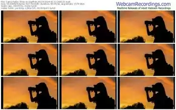 cams-sepffish_m123-01-12-2024-20-41-22