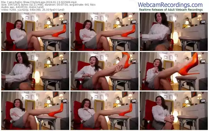 cams-nylonlegs-01-13-2024-02-29-49