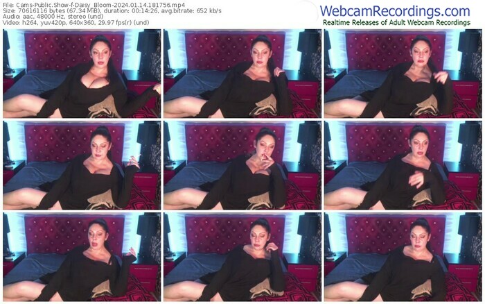cams-daisy_bloom-01-14-2024-18-17-56