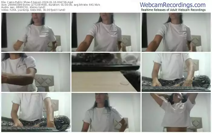 cams-seiya1-01-16-2024-00-47-26