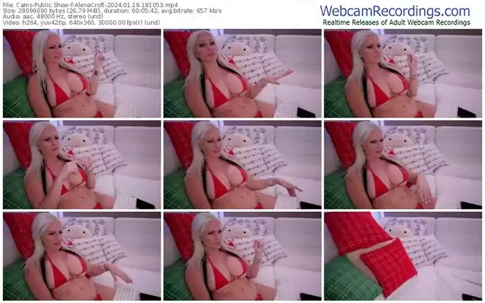 cams-alenacroft-01-19-2024-18-10-53