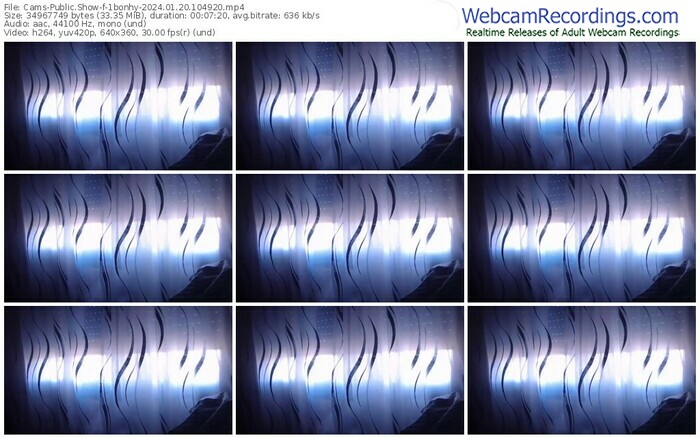 cams-1bonhy-01-20-2024-10-49-20