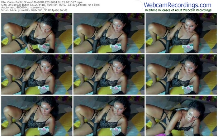 cams-angora123-01-21-2024-02-15-17