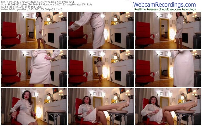 cams-nylonlegs-01-27-2024-01-42-16