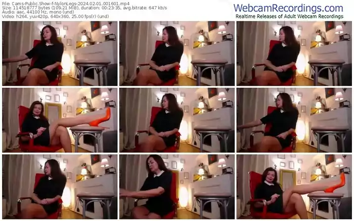 cams-nylonlegs-02-01-2024-00-16-01