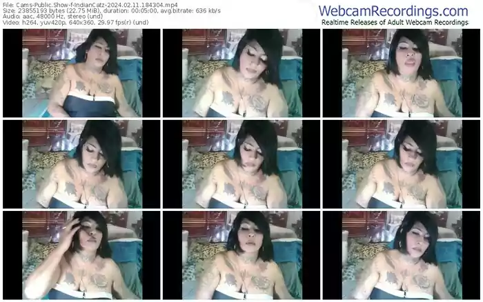 cams-indiancatz-02-11-2024-18-43-04