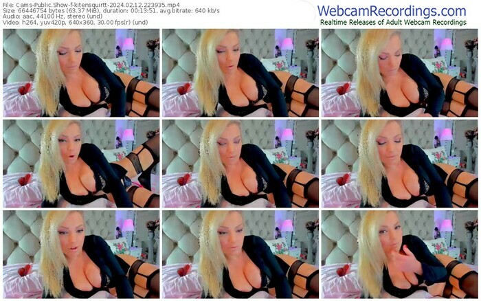 cams-kitensquirtt-02-12-2024-22-39-35