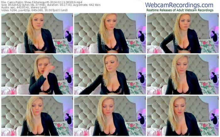 cams-kitensquirtt-02-13-2024-08-30-19