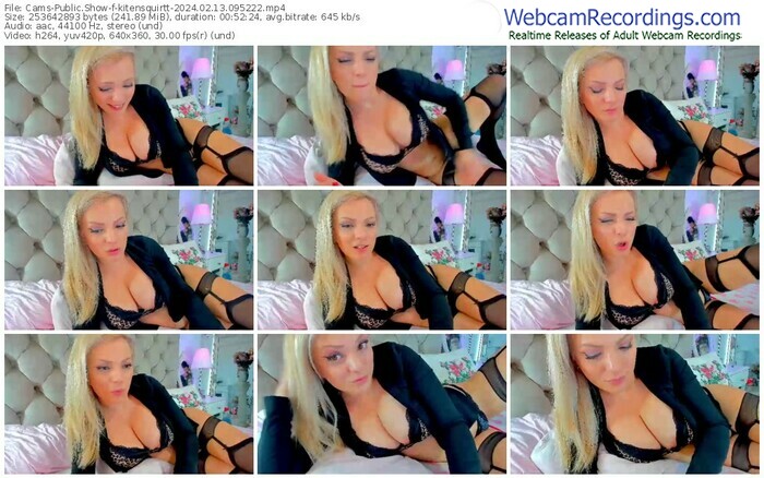 cams-kitensquirtt-02-13-2024-09-52-22