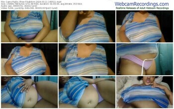 cams-babikim-03-11-2024-16-55-11