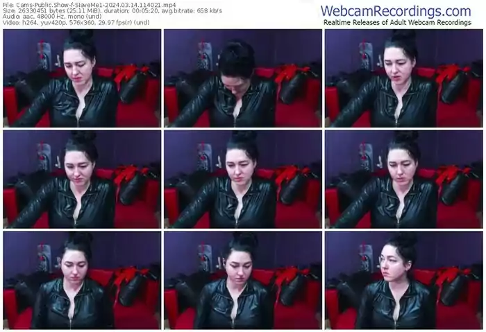 cams-slaveme1-03-14-2024-11-40-21