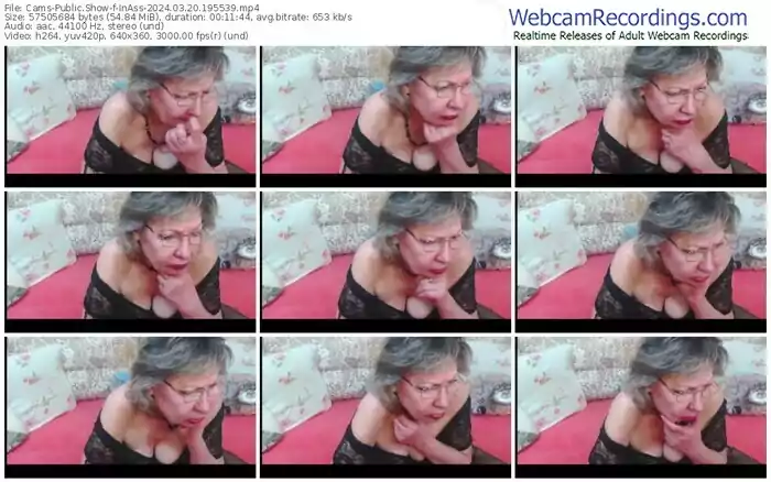 cams-inass-03-20-2024-19-55-39