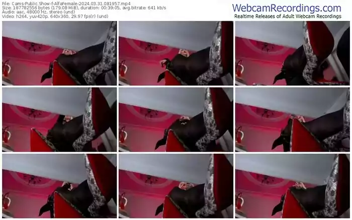 cams-alfafemale-03-31-2024-08-19-57