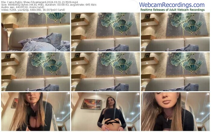 cams-evahazard-03-31-2024-21-35-09