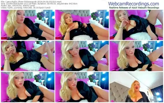 cams-kitensquirtt-04-09-2024-03-23-10