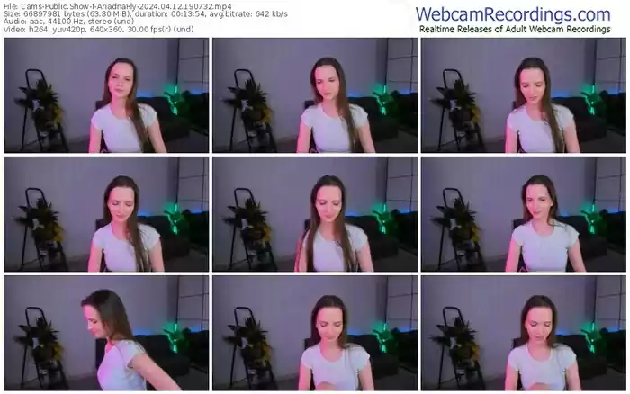 cams-ariadnafly-04-12-2024-19-07-32