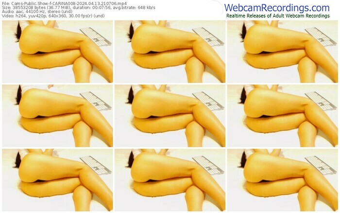 cams-carina008-04-13-2024-21-07-06