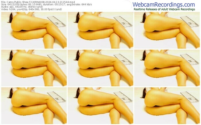 cams-carina008-04-13-2024-21-15-44