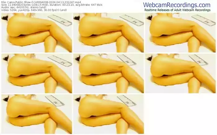 cams-carina008-04-13-2024-23-12-47