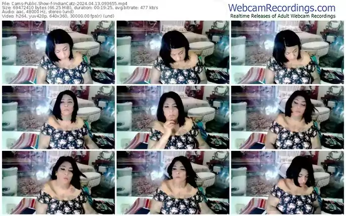 cams-indiancatz-04-13-2024-09-36-55