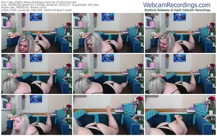 cams-mehlani-04-13-2024-05-32-32