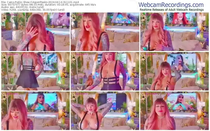 cams-aspenpeeks-04-14-2024-01-11-01