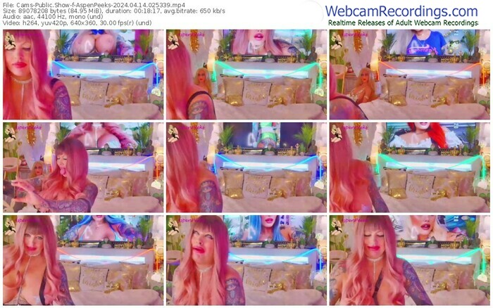 cams-aspenpeeks-04-14-2024-02-53-39