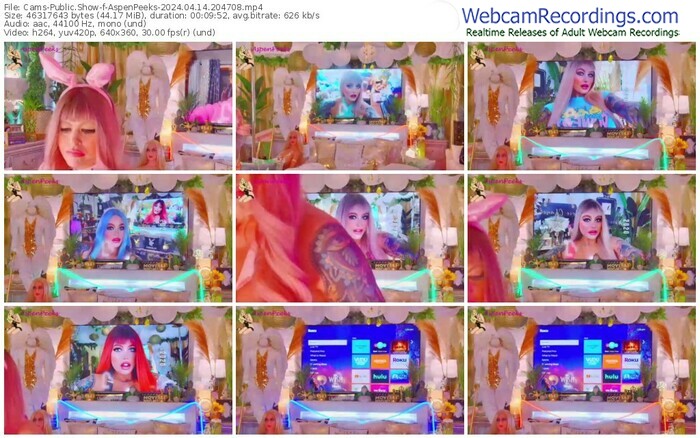 cams-aspenpeeks-04-14-2024-20-47-08