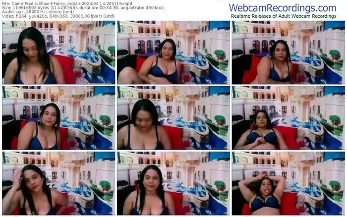 cams-fancy_indian-04-14-2024-20-51-19