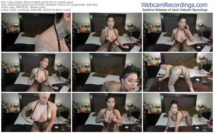 cams-aaris-04-15-2024-12-24-41