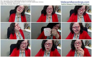 cams-adeleemodel-04-15-2024-06-51-00