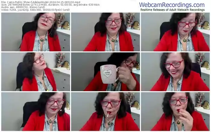 cams-adeleemodel-04-15-2024-06-51-00