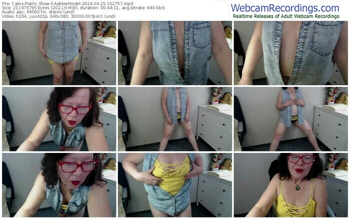 cams-adeleemodel-04-15-2024-10-27-57