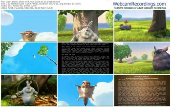 cams-ff_mur-04-15-2024-18-28-38